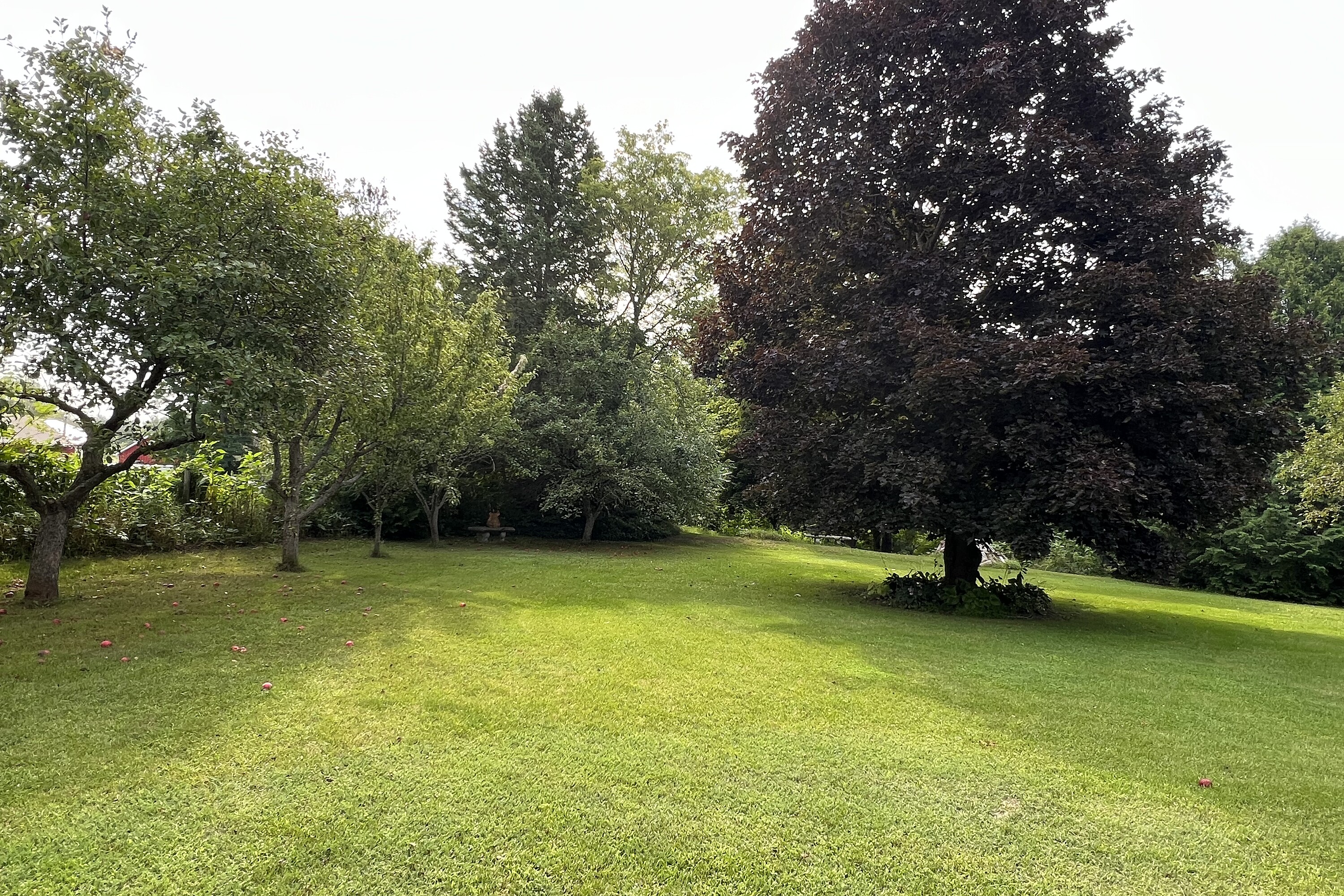  Warkworth Country Retreat - 物件實景