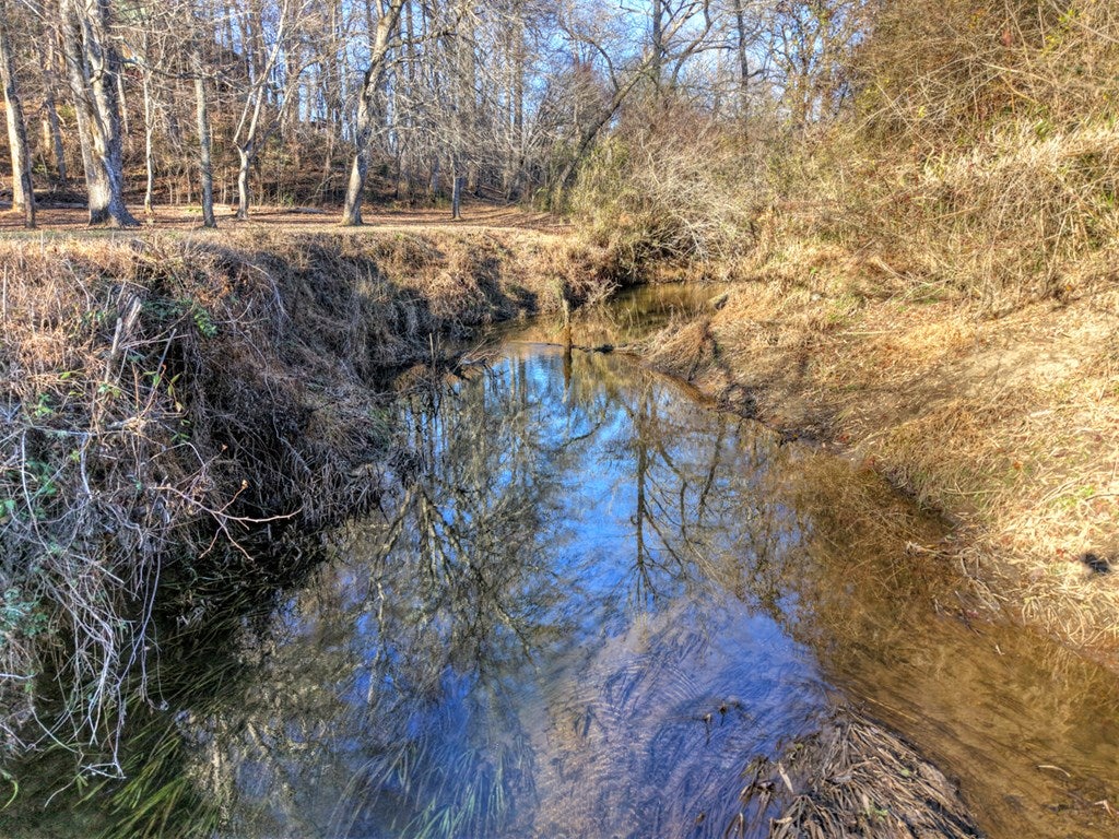 Blue Ridge, Georgia, 30513, United States, 3 Bedrooms Bedrooms, ,3 BathroomsBathrooms,Residential,For Sale,1954403