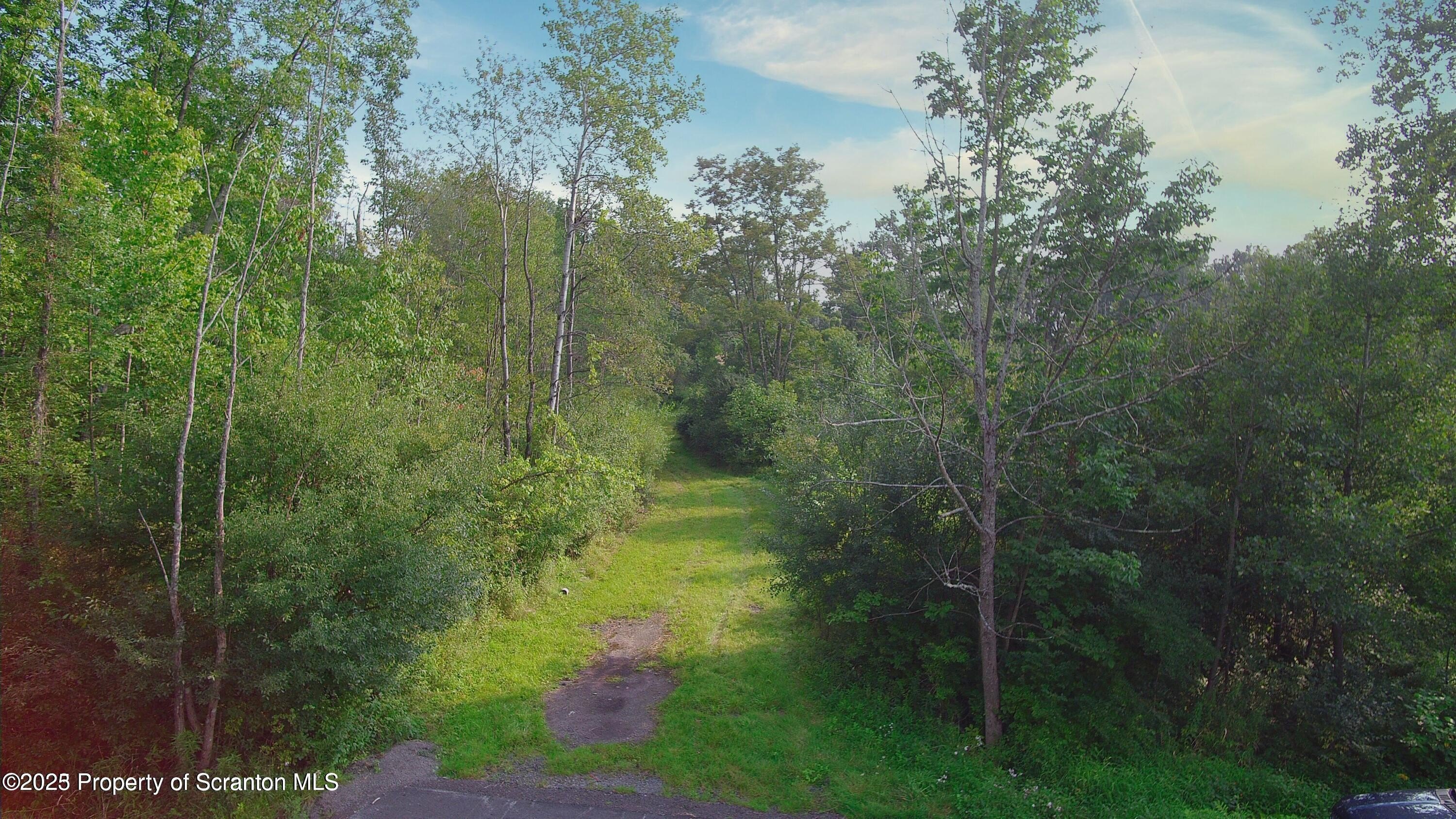 Newton Twp, Pennsylvania, 18411, United States, ,Land,For Sale,1980974