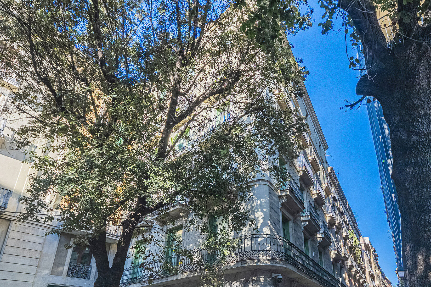  Flat in Las Ramblas, in the historic Gothic Quarter of Barcelona - 物件實景