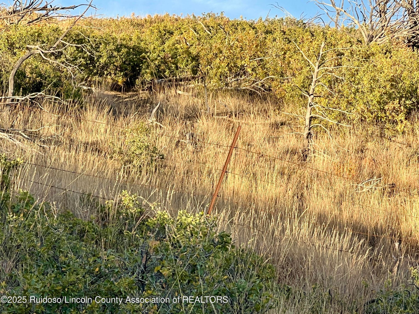 Nogal, New Mexico, 88341, United States, ,Land,For Sale,1988208