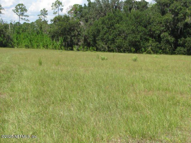 Crescent City, Florida, 32112, United States, ,Land,For Sale,1974247