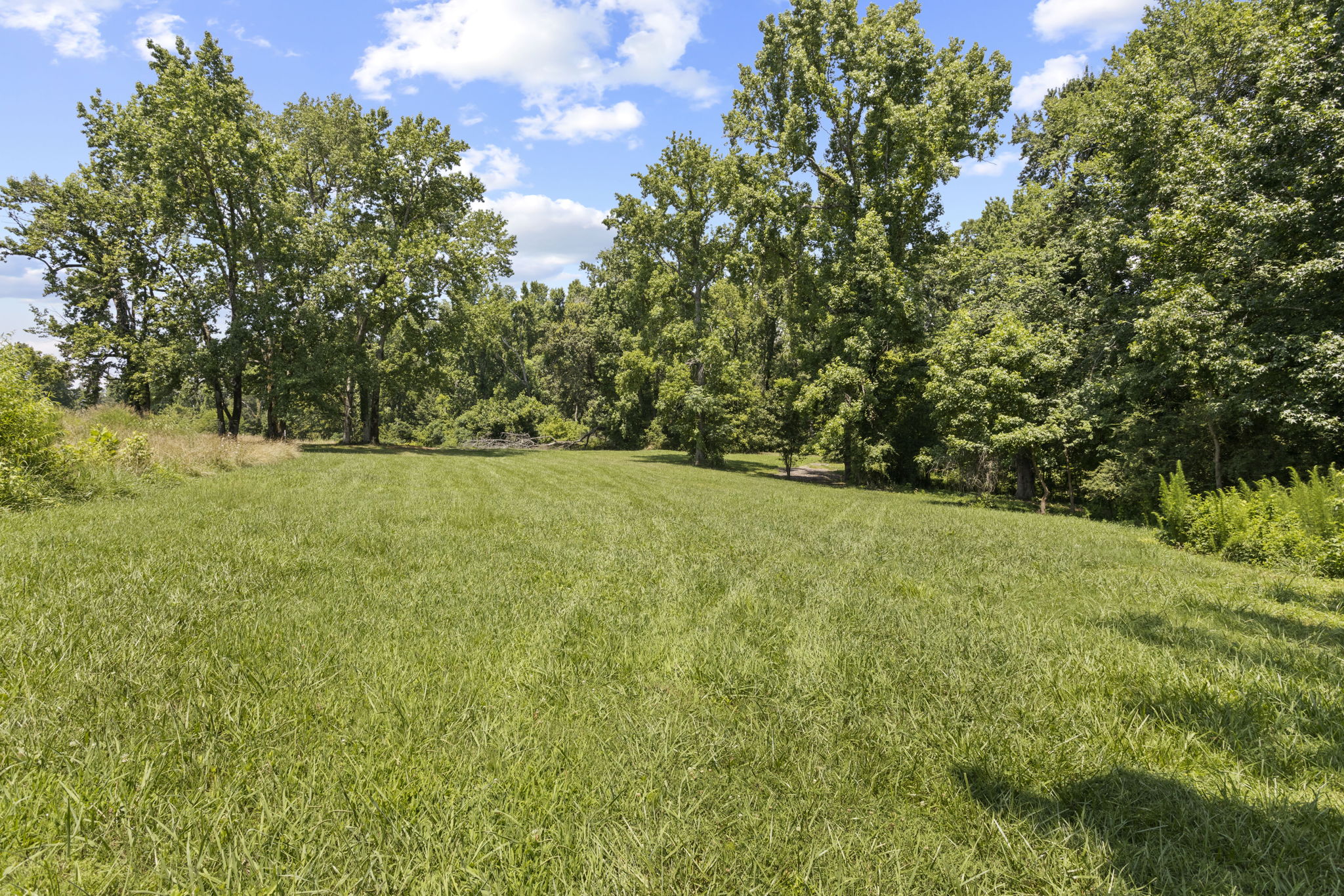  1000 Apple Valley Road, Duncan, SC 29334 - 物件實景