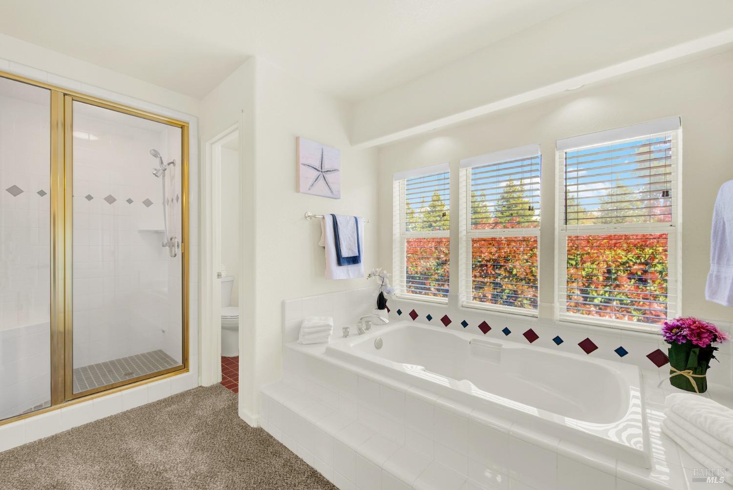 Vacaville, California, 95688, United States, 4 Bedrooms Bedrooms, ,4 BathroomsBathrooms,Residential,For Sale,1991158