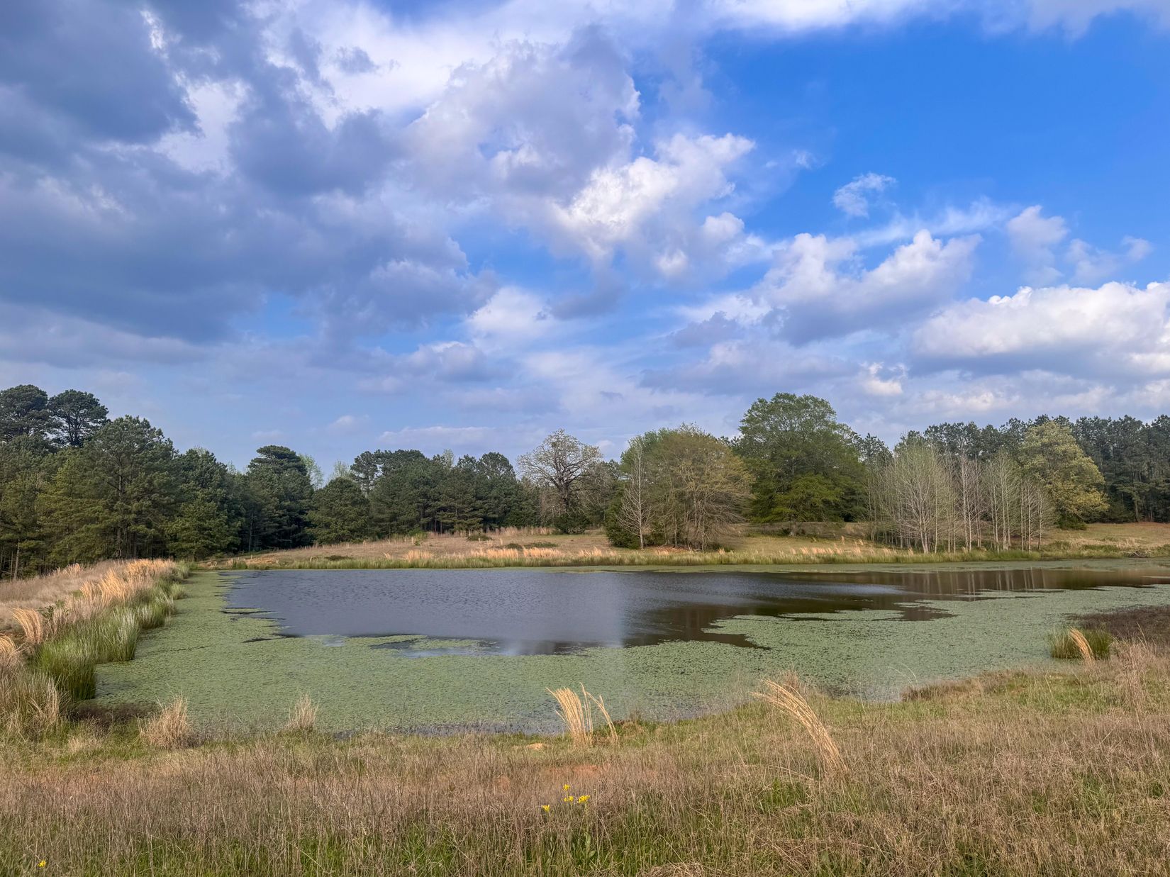 Bivins, Texas, 75555, United States, ,Residential,For Sale,1755933