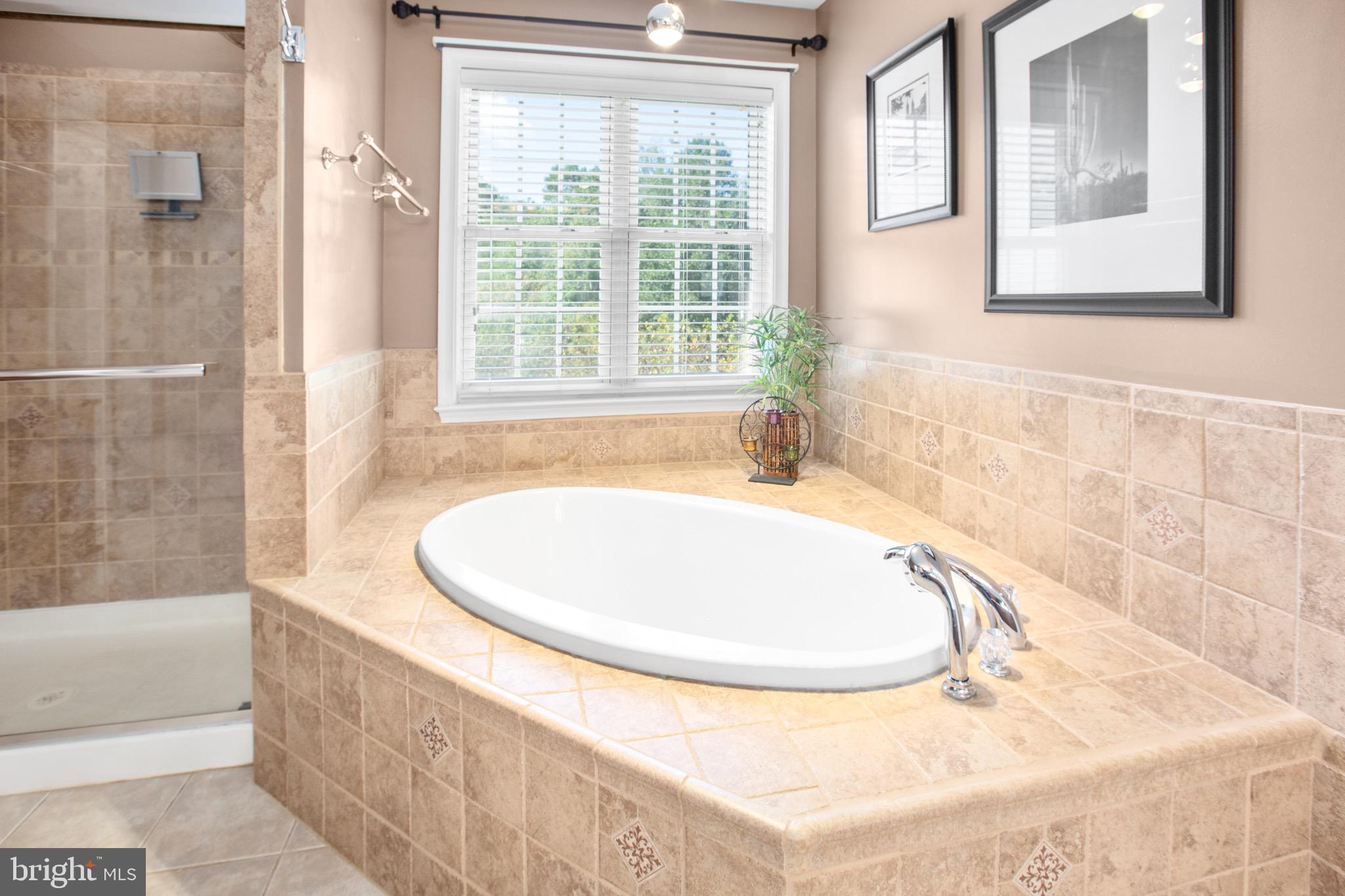 Spotsylvania, Virginia, 22553, United States, 4 Bedrooms Bedrooms, ,3 BathroomsBathrooms,Residential,For Sale,1931139