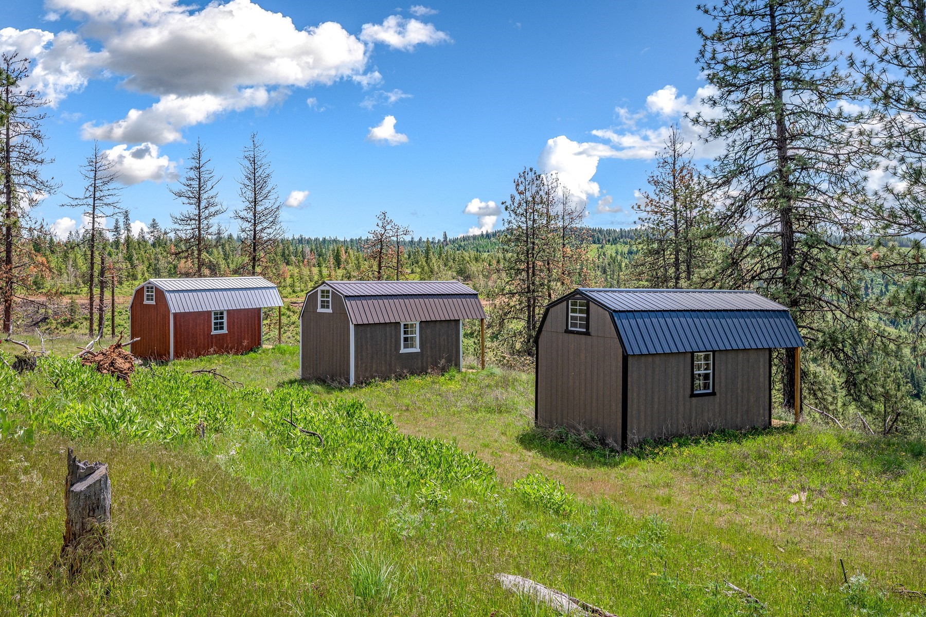  Cabins on 17ac. Surrounded by Lumber Land - 物件實景