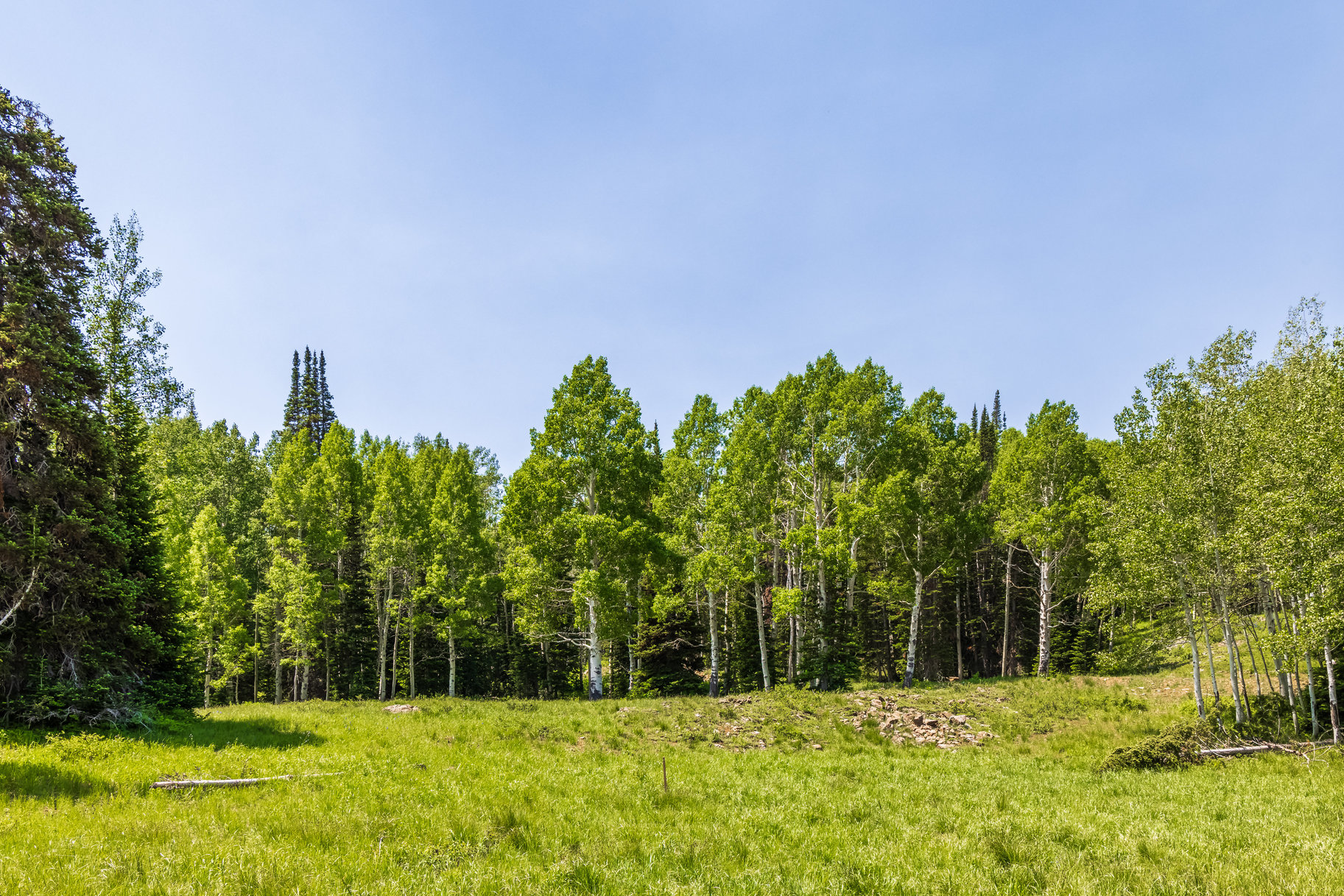  Incredible 28 Acre Estate Lot in the Colony at White Pine Canyon - 物件實景