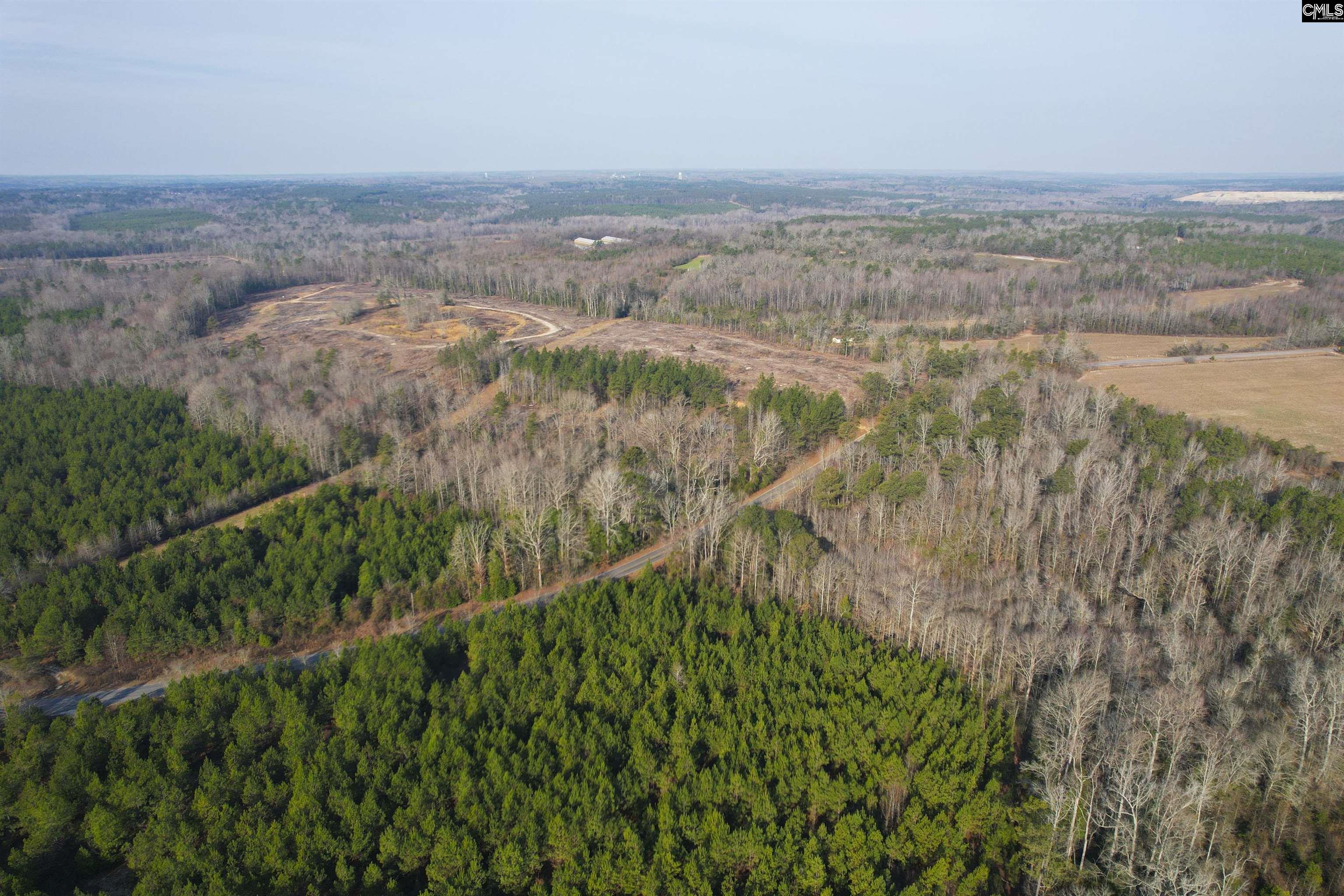 703 Neds Creek Road, Kershaw, South Carolina, 29067, United States, ,Land,For Sale,703 Neds Creek Road,1669372