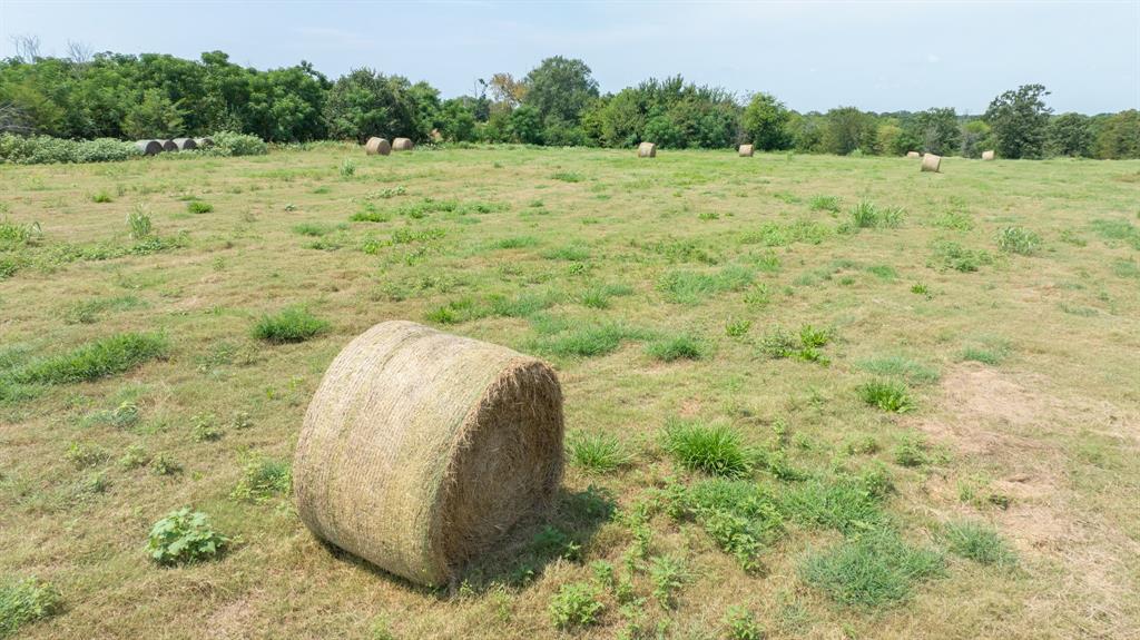 Yantis, Texas, 75497, United States, ,Land,For Sale,1917714