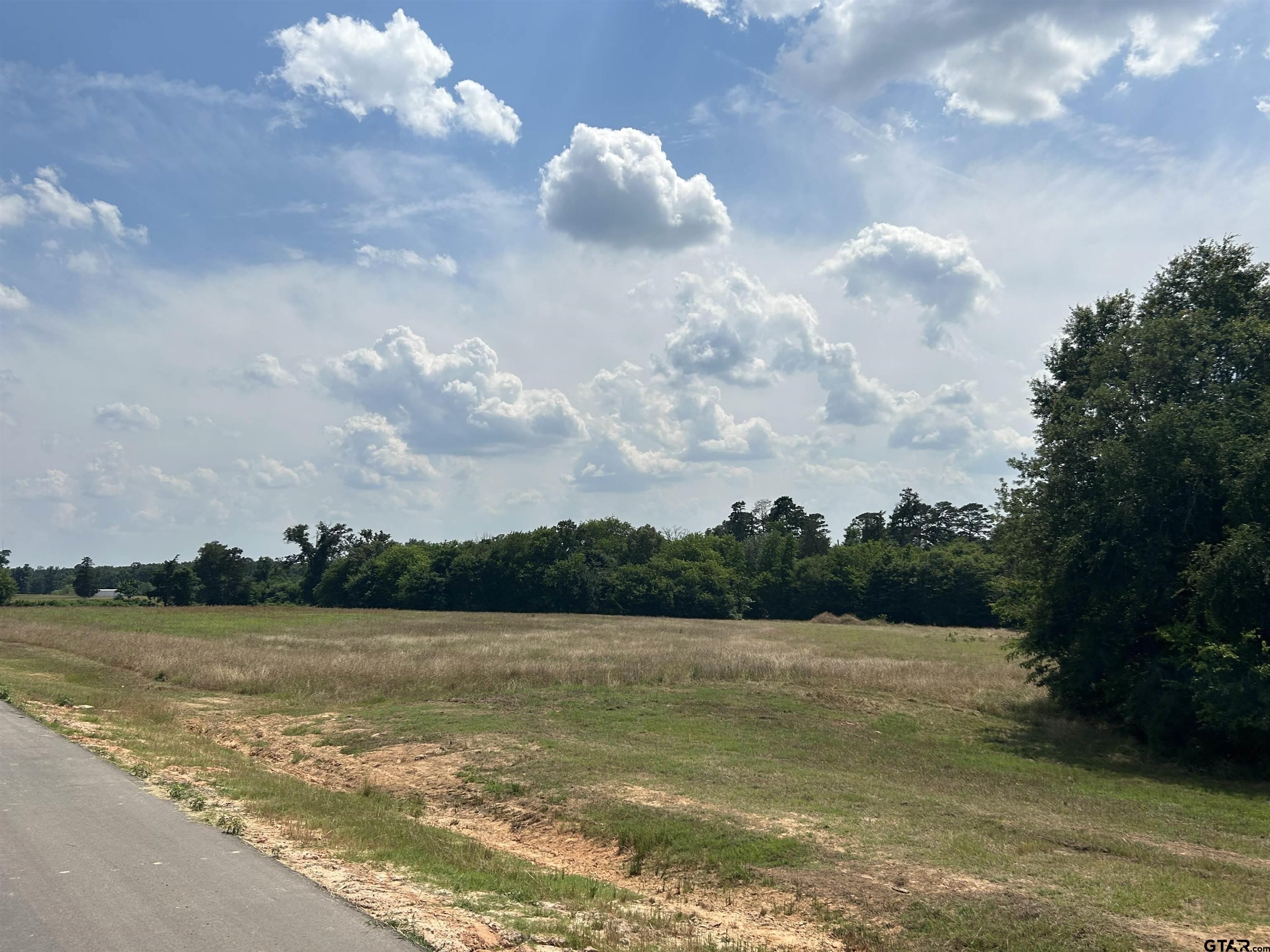 1666 CR 2332, Pittsburg, Texas, 75686, United States, ,Residential,For Sale,1666 CR 2332,1411949