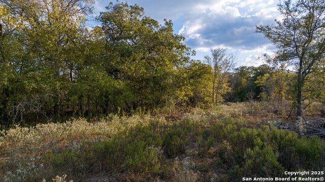 Other, 11111, United States, ,Land,For Sale,1951420