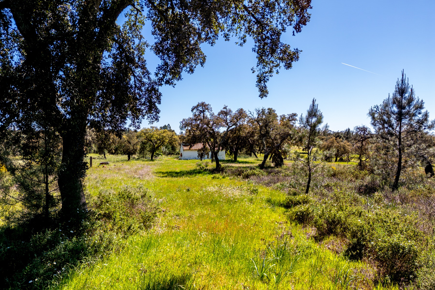  Stand for Sale - 物件實景