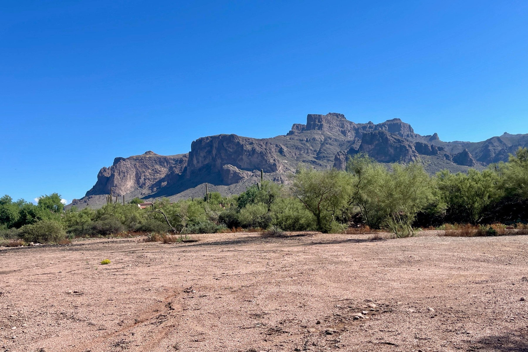  52 E Scenic (geronimo) Street¦Apache Junction, AZ - 物件實景