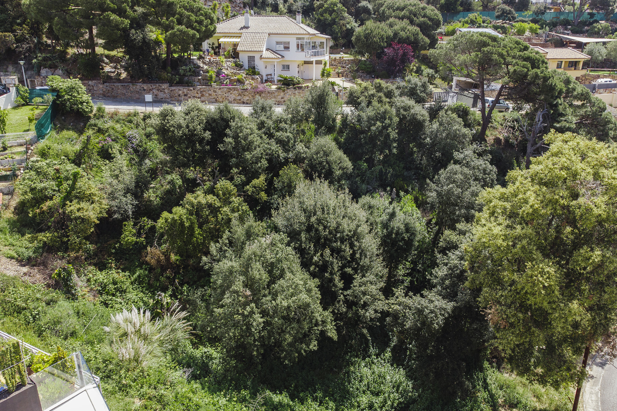  Land in private urbanization Santa Maria de Llorell - 物件實景