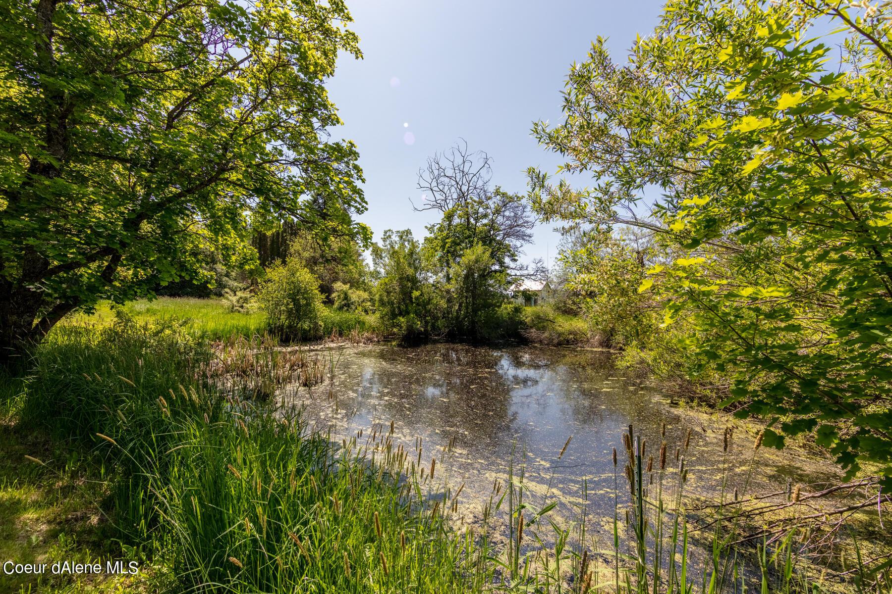 Worley, Idaho, 83876, United States, ,Residential,For Sale,1967964