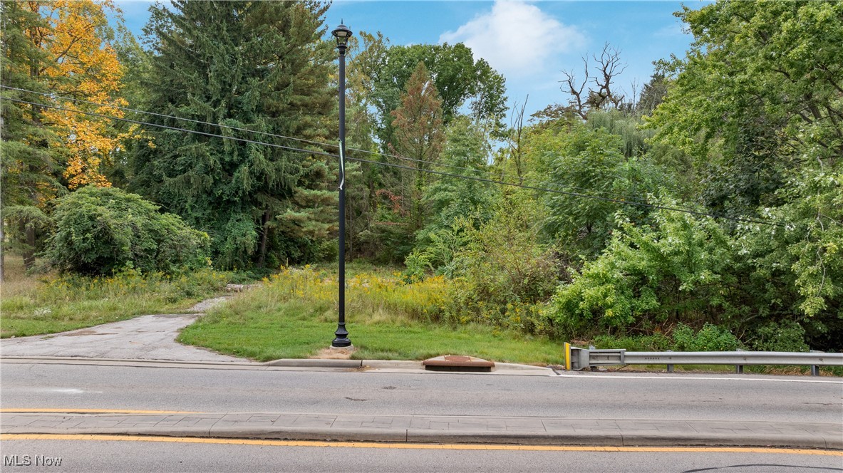1356 E Turkeyfoot Lake Road, Akron, Ohio, 44312, United States, ,Land,For Sale,1356 E Turkeyfoot Lake Road,1668740