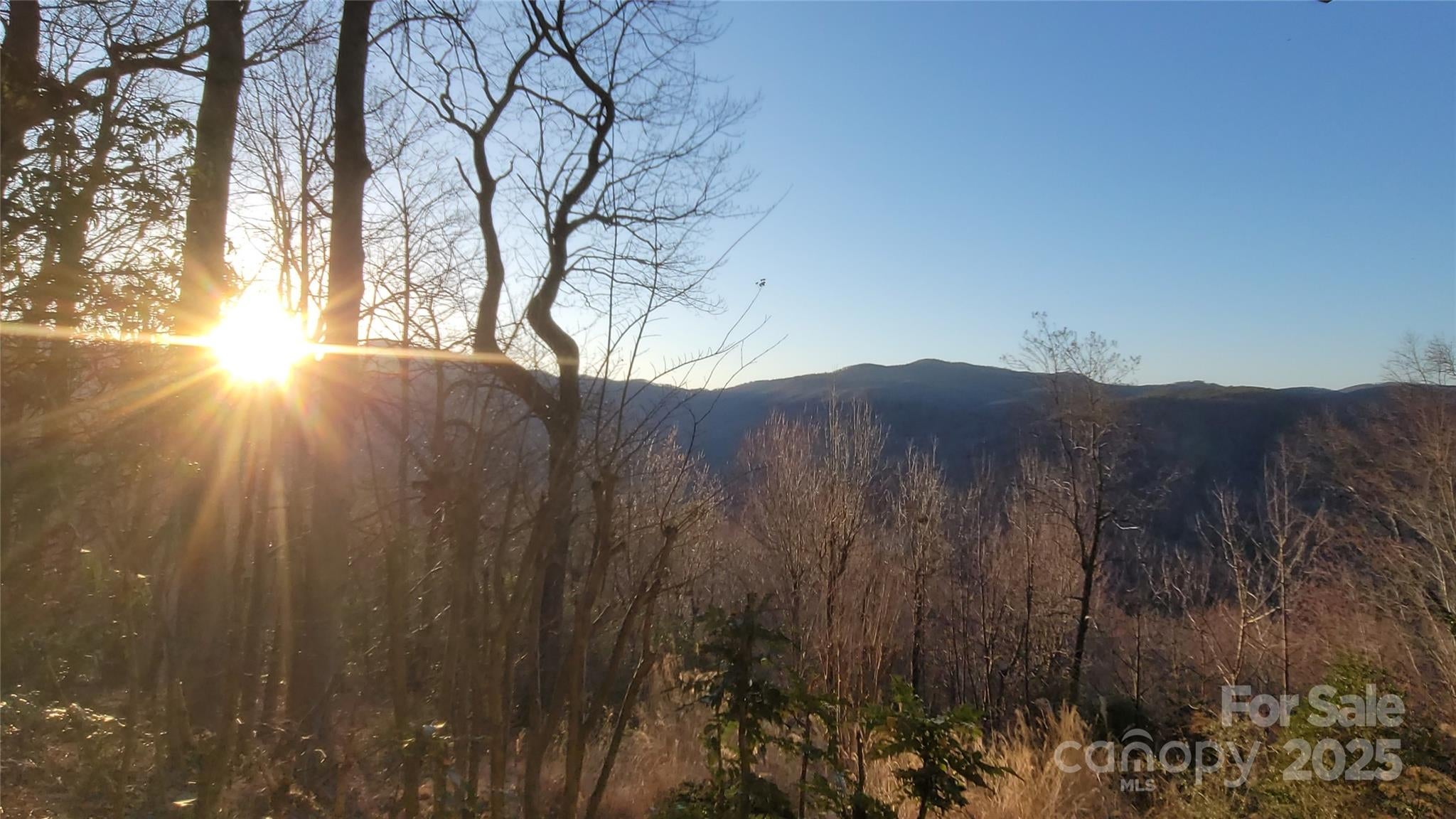 Lake Lure, North Carolina, 28746, United States, 3 Bedrooms Bedrooms, ,3 BathroomsBathrooms,Residential,For Sale,1978628