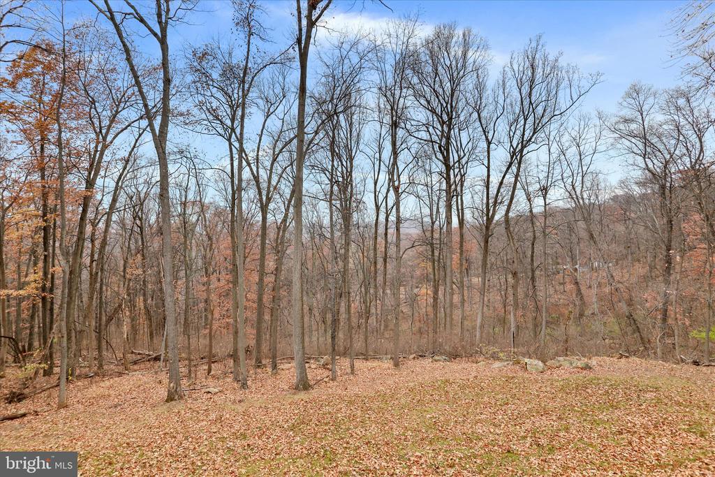 Front Royal, Virginia, 22630, United States, 3 Bedrooms Bedrooms, ,3 BathroomsBathrooms,Residential,For Sale,1996809