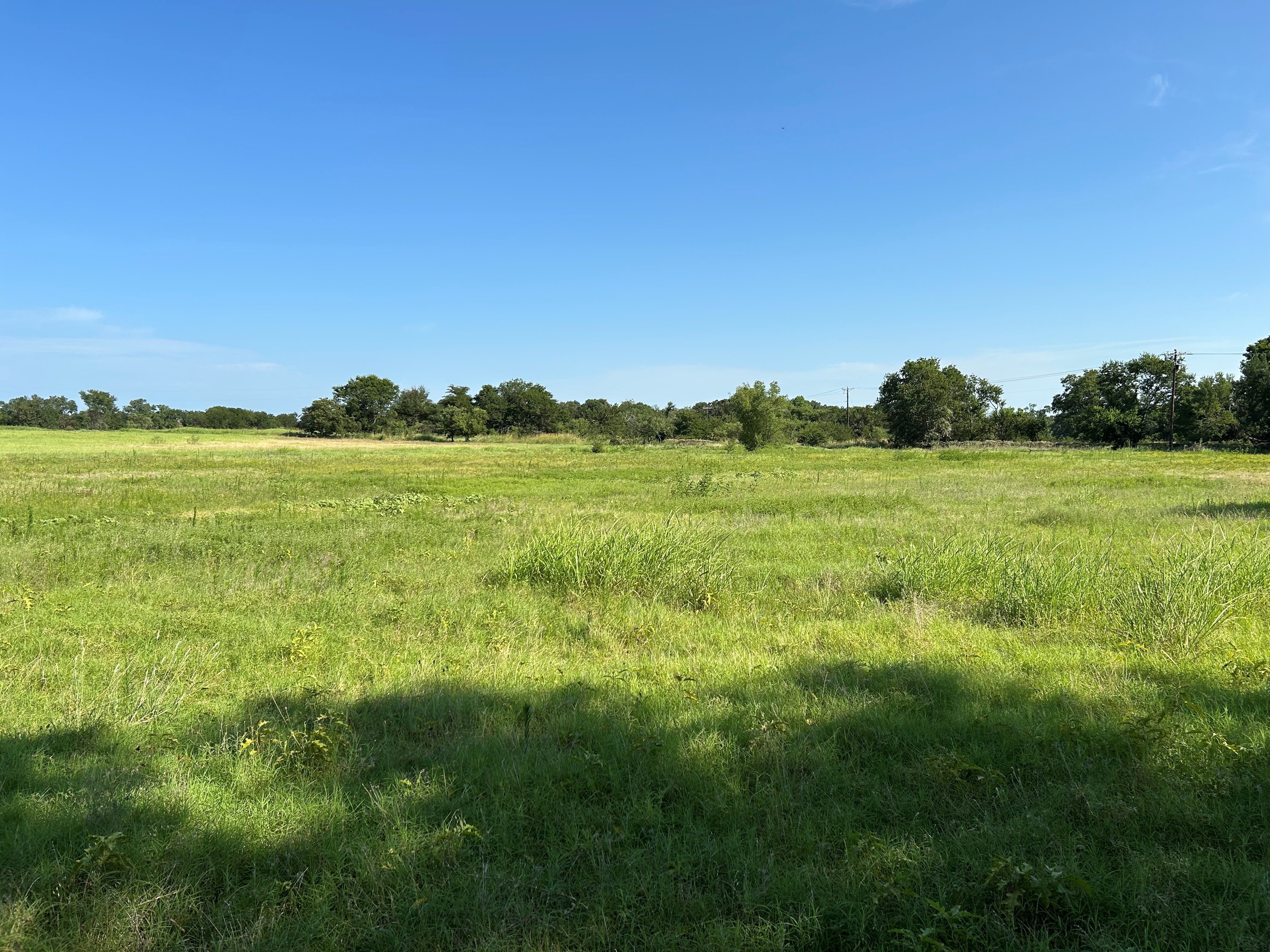 Bridgeport, Texas, 76426, United States, ,Land,For Sale,1981851