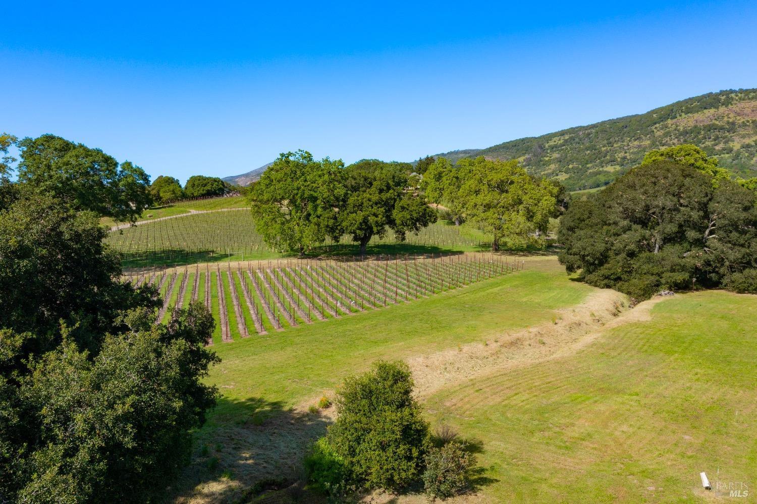 Napa, California, 94558, United States, 4 Bedrooms Bedrooms, ,2 BathroomsBathrooms,Residential,For Sale,1793717