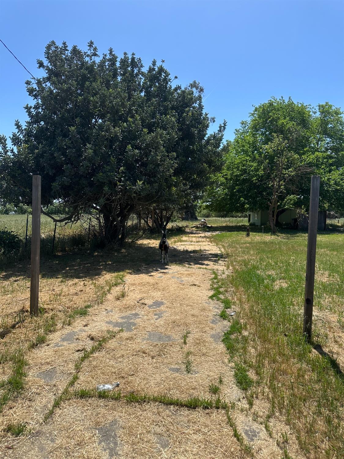 Sacramento, California, 95632, United States, 3 Bedrooms Bedrooms, ,1 BathroomBathrooms,Residential,For Sale,1783096