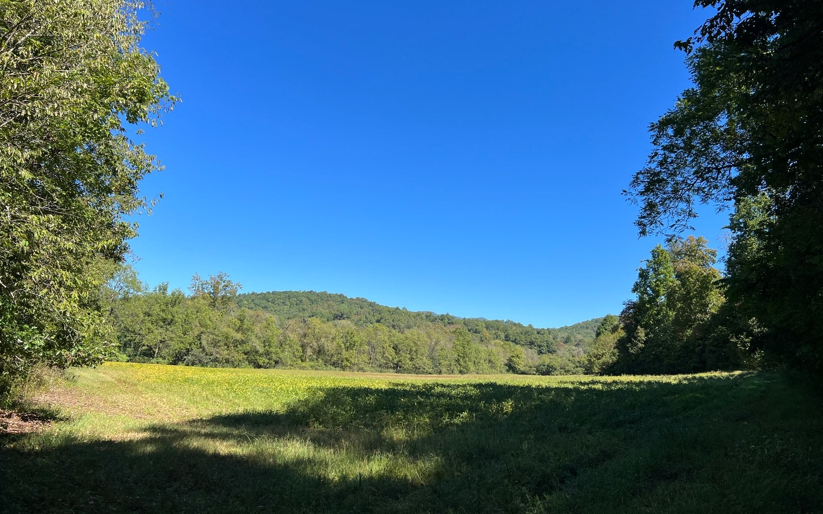 Hayesville, North Carolina, 28904, United States, ,Residential,For Sale,1943293
