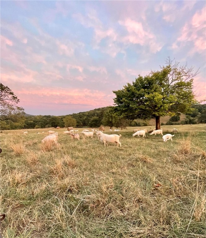 Berryville, Arkansas, 72616, United States, 6 Bedrooms Bedrooms, ,4 BathroomsBathrooms,Residential,For Sale,1988341