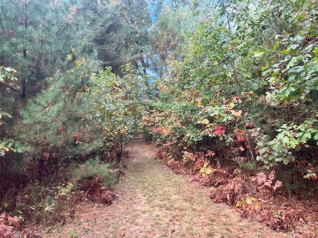 Branch, Michigan, 49402, United States, 5 Bedrooms Bedrooms, ,4 BathroomsBathrooms,Residential,For Sale,1986273