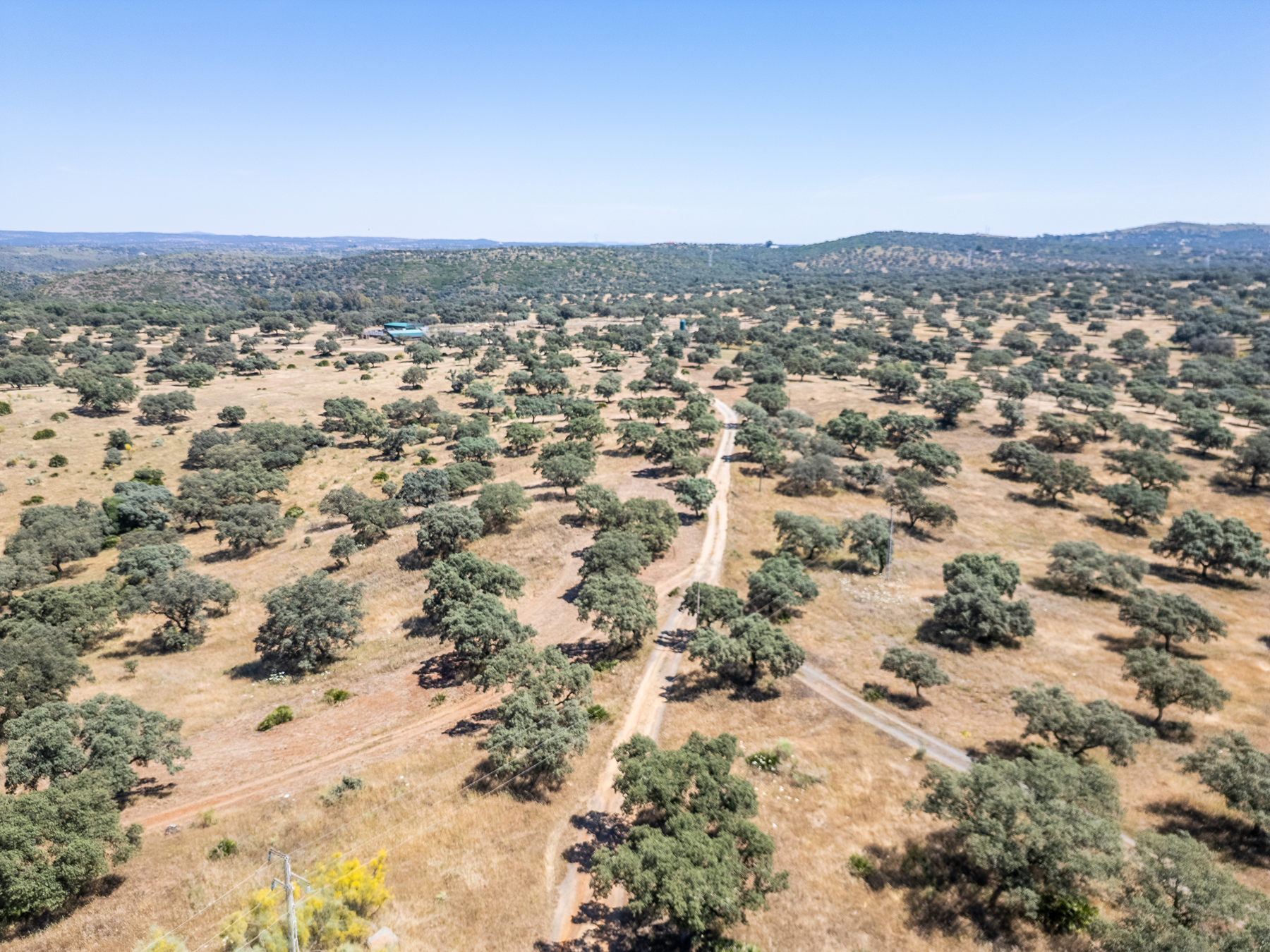  Livestock, hunting, and recreational estate in Castiblanco de los Arroyos - 物件實景