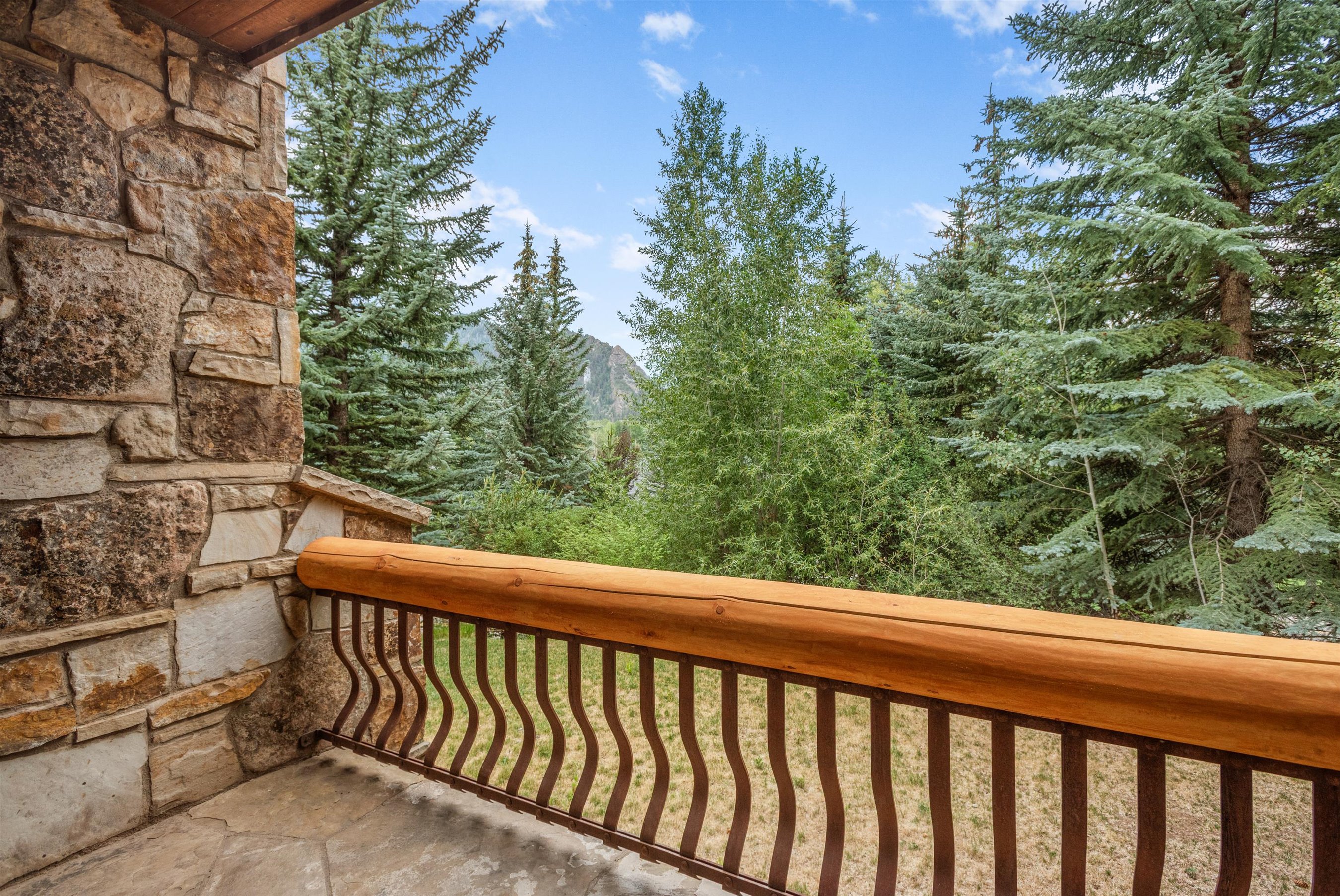  Prestigious Willoughby Way Mountain Home - 物件實景