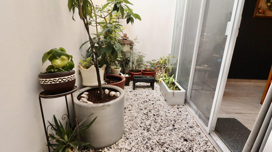 Morelia, Michoacán de Ocampo, 58200, Mexico, 3 Bedrooms Bedrooms, ,2 BathroomsBathrooms,Residential,For Sale,2000859