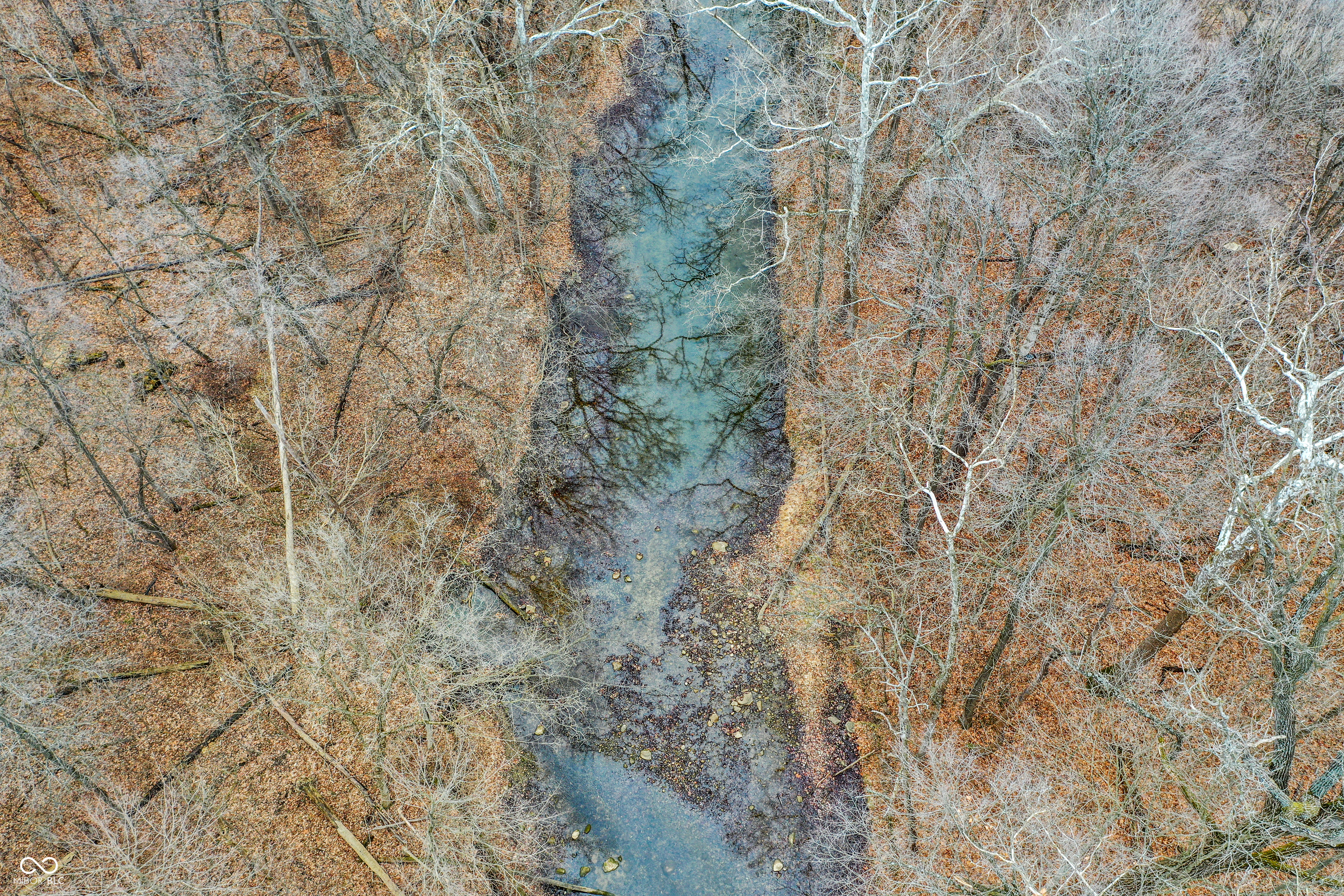 Arcadia, Indiana, 46030, United States, ,Residential,For Sale,2009642