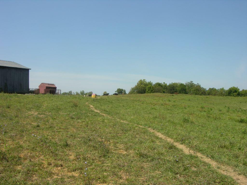 1400 Curtis Pike, Richmond, Kentucky, 40475, United States, ,Land,For Sale,1400 Curtis Pike,1616978