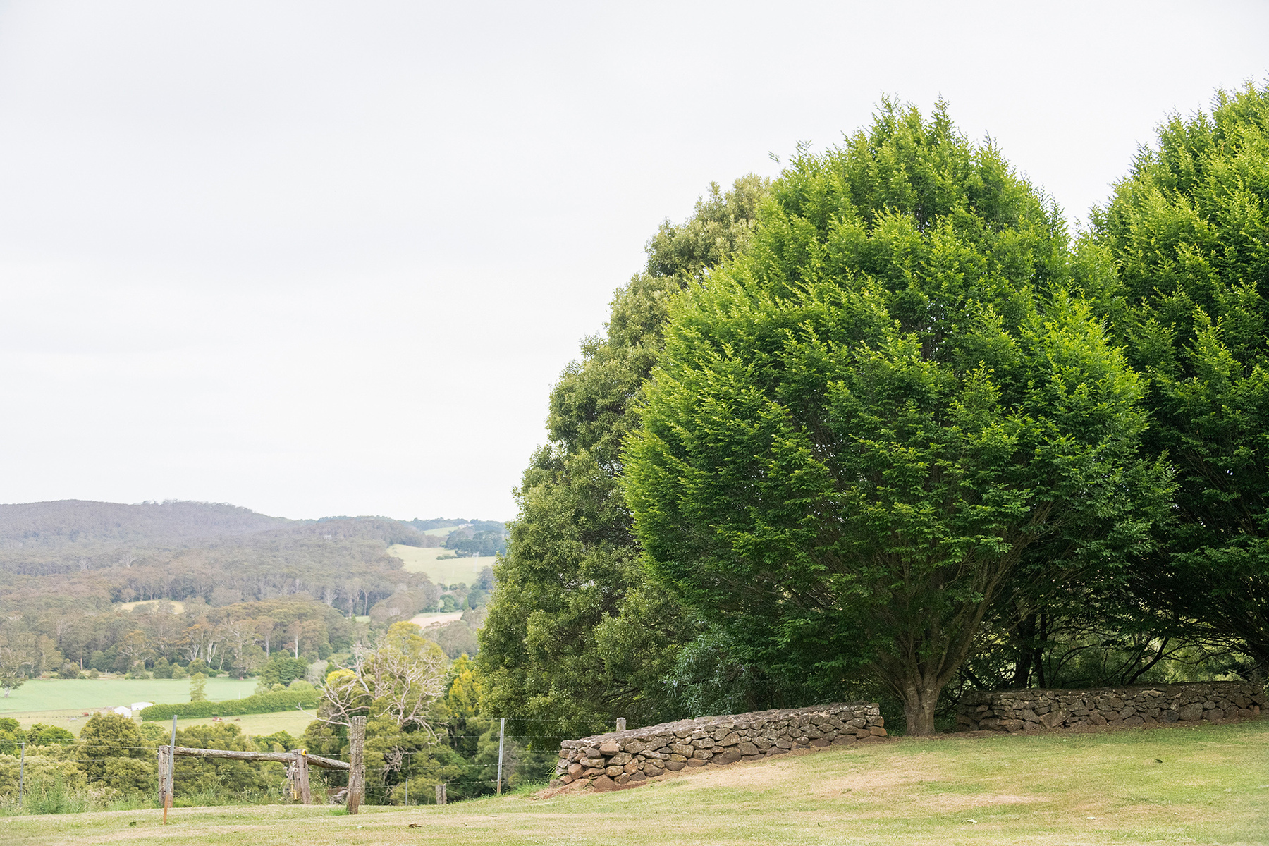  Fox Hill - 物件實景