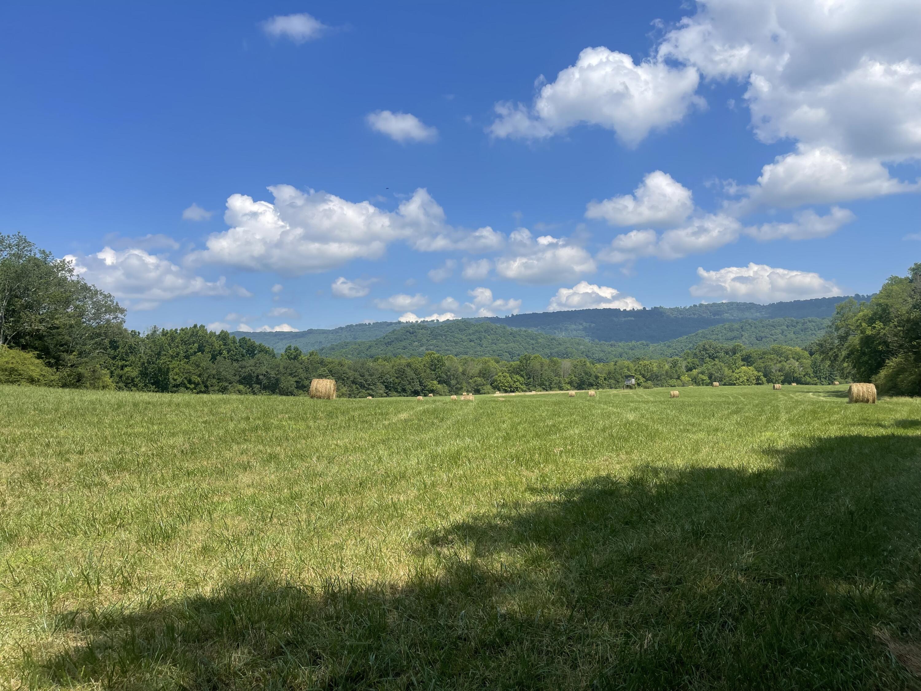 Bryant, Alabama, 35958, United States, ,Land,For Sale,1982684