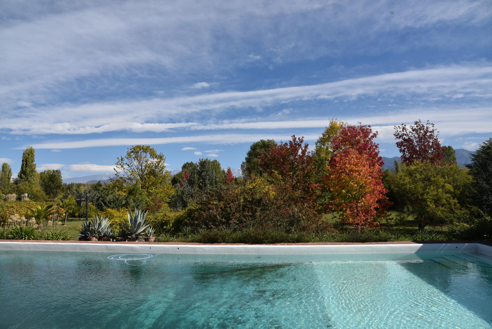 Lujan De Cuyo, AR-M, AR, 5 Bedrooms Bedrooms, ,8 BathroomsBathrooms,Residential,For Sale,1999071