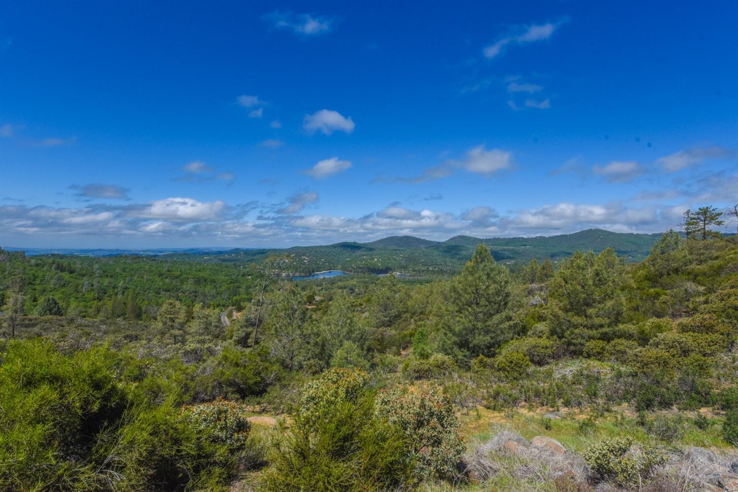 15880 Parkridge Avenue, Sonora, California, 95370, United States, ,Land,For Sale,15880 Parkridge Avenue,1432532