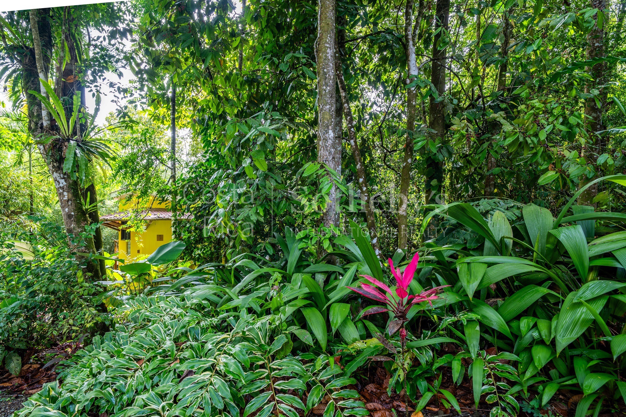  Dominical Yoga Retreat and Nature Reserve - 物件實景
