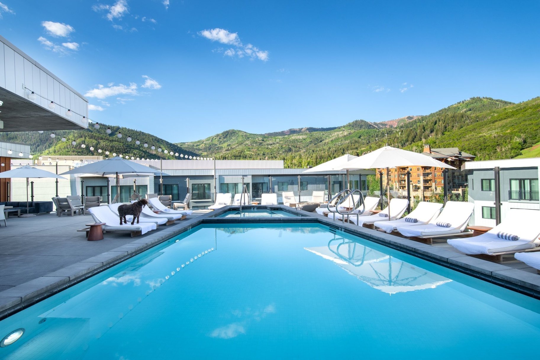  Affordable Luxury Residence with Direct Ski Access at Pendry Park City - 物件實景