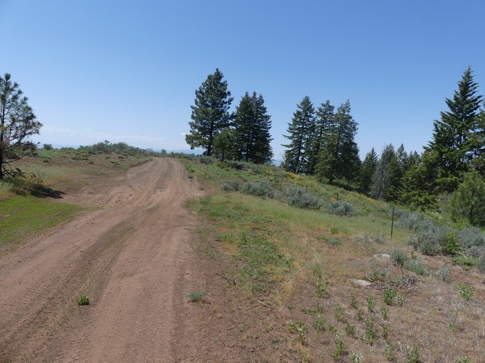 Indian Valley, Idaho, 83682, United States, ,Land,For Sale,1976667