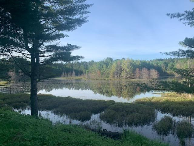 Watersmeet, Michigan, 49969, United States, 4 Bedrooms Bedrooms, ,3 BathroomsBathrooms,Residential,For Sale,1979345