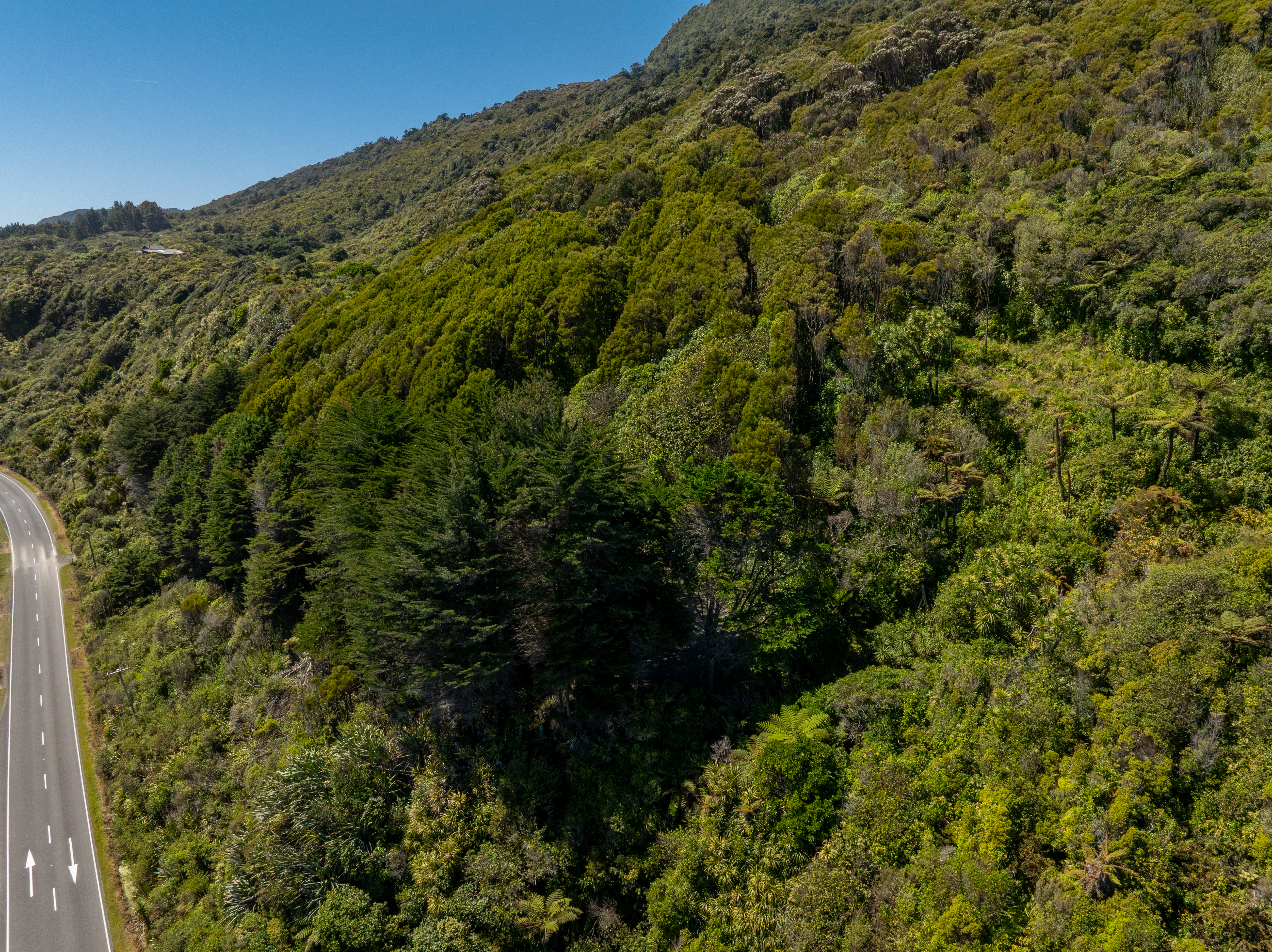  State Highway 6, Fox River, Punakaiki - 物件實景