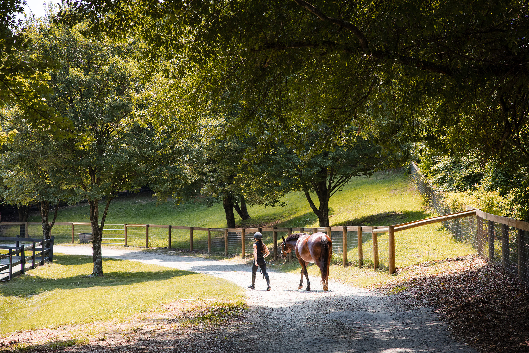  Rare Equestrian Facility with Prestigious Address - 物件實景