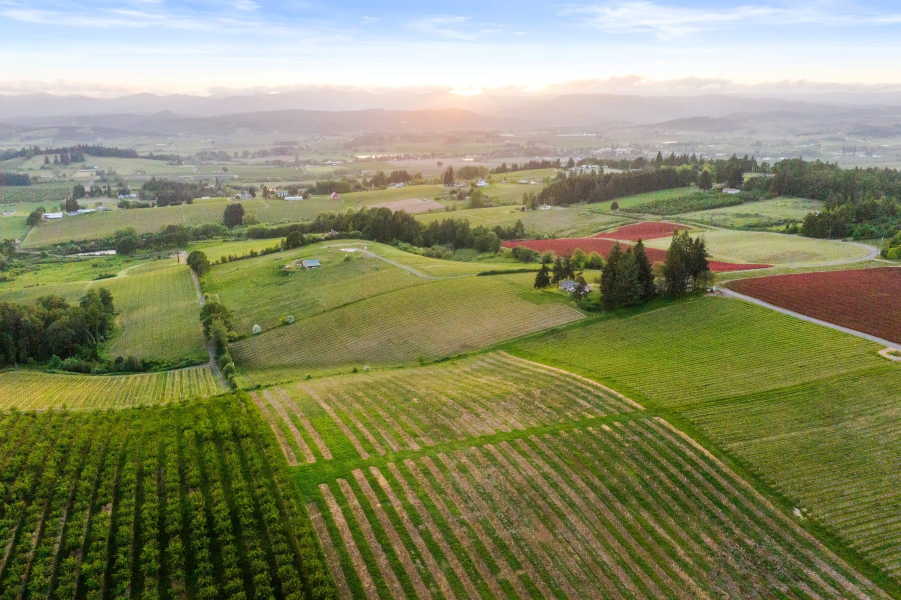  8810 NE BLACKBURN RD Yamhill, OR 97148 - 物件實景
