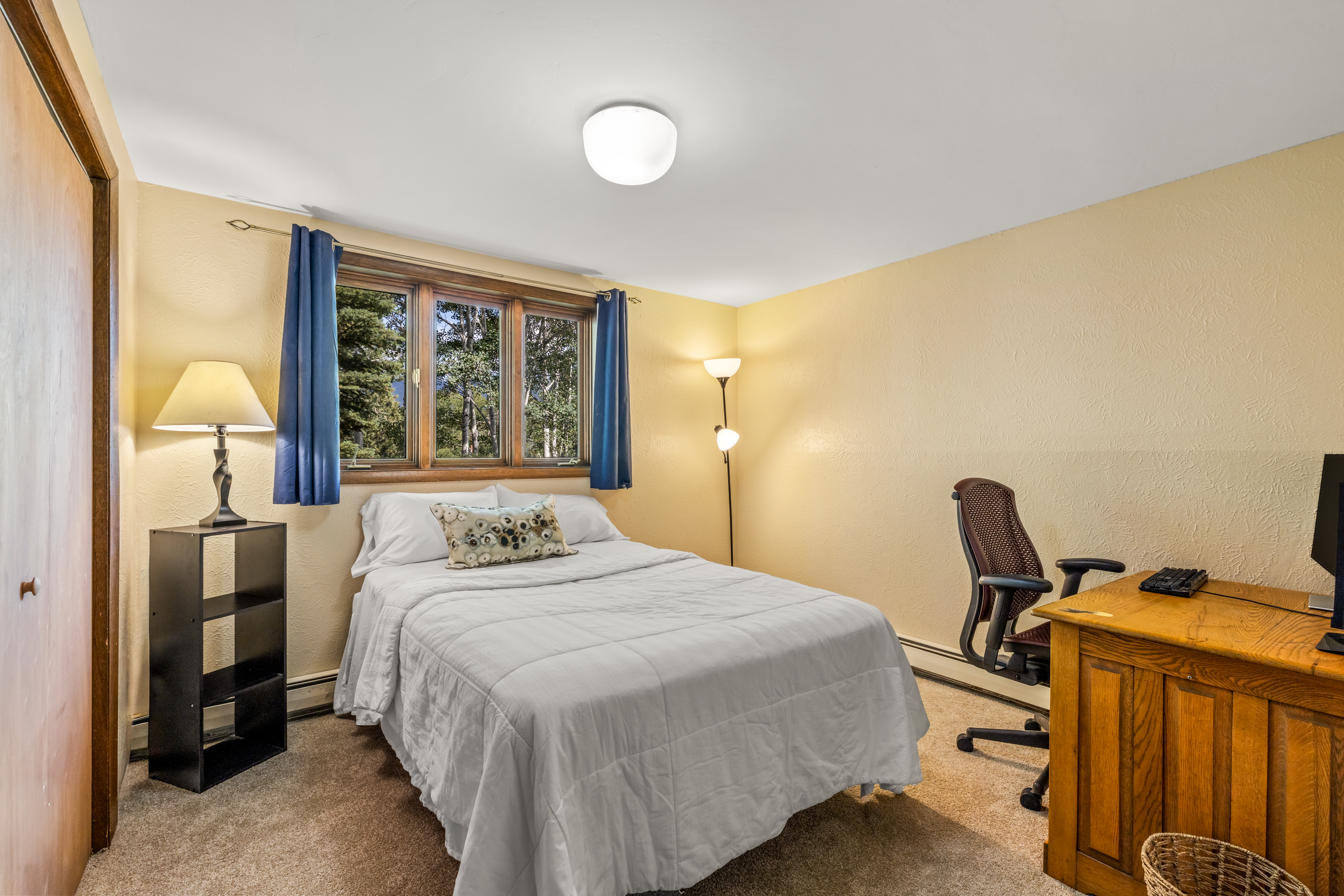  1141 Thornburg Street, Steamboat Springs, CO, 80487 - 物件實景