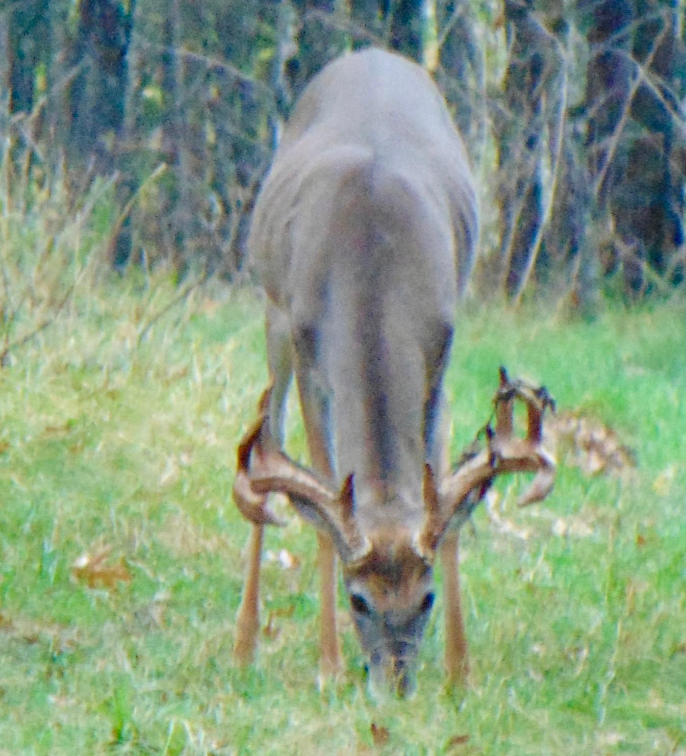 Lake Tomahawk, Wisconsin, 54487, United States, ,Residential,For Sale,1973874