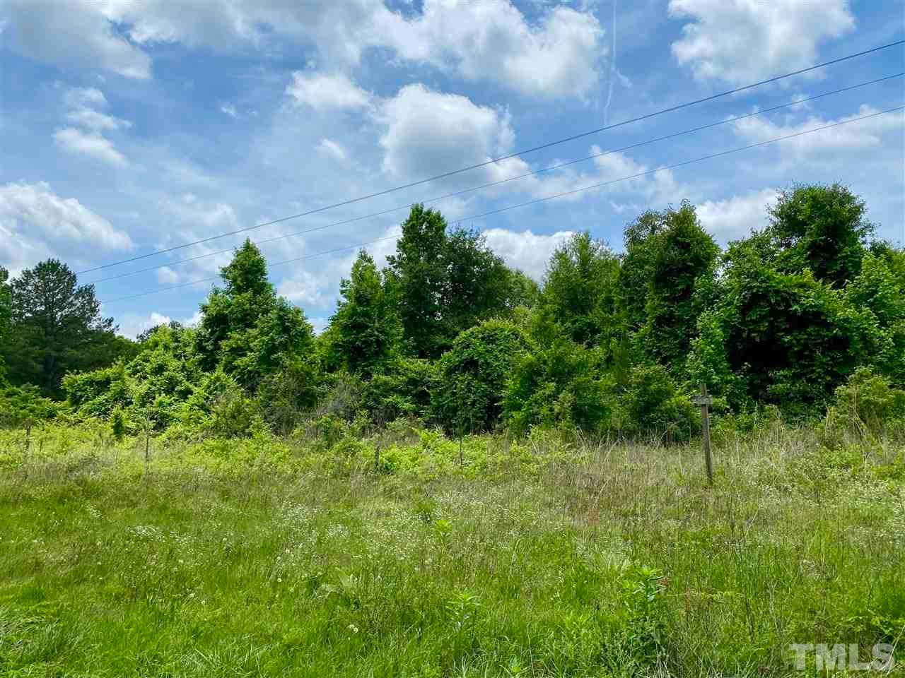 0 devils racetrack RD, Four Oaks, North Carolina, 27524, United States, ,Land,For Sale,0 devils racetrack RD,1432229