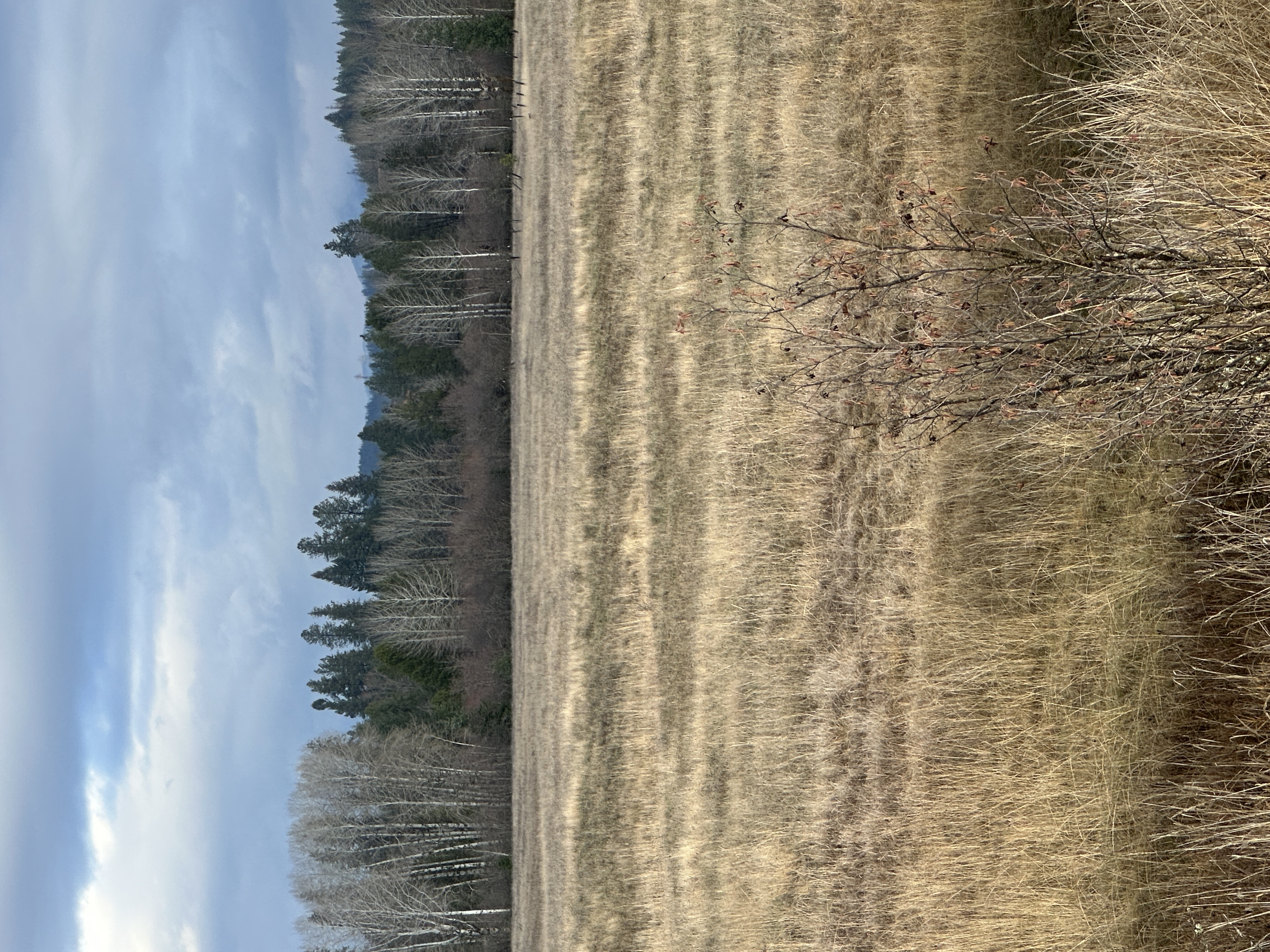 Priest River, Idaho, 83856, United States, ,Land,For Sale,2006127