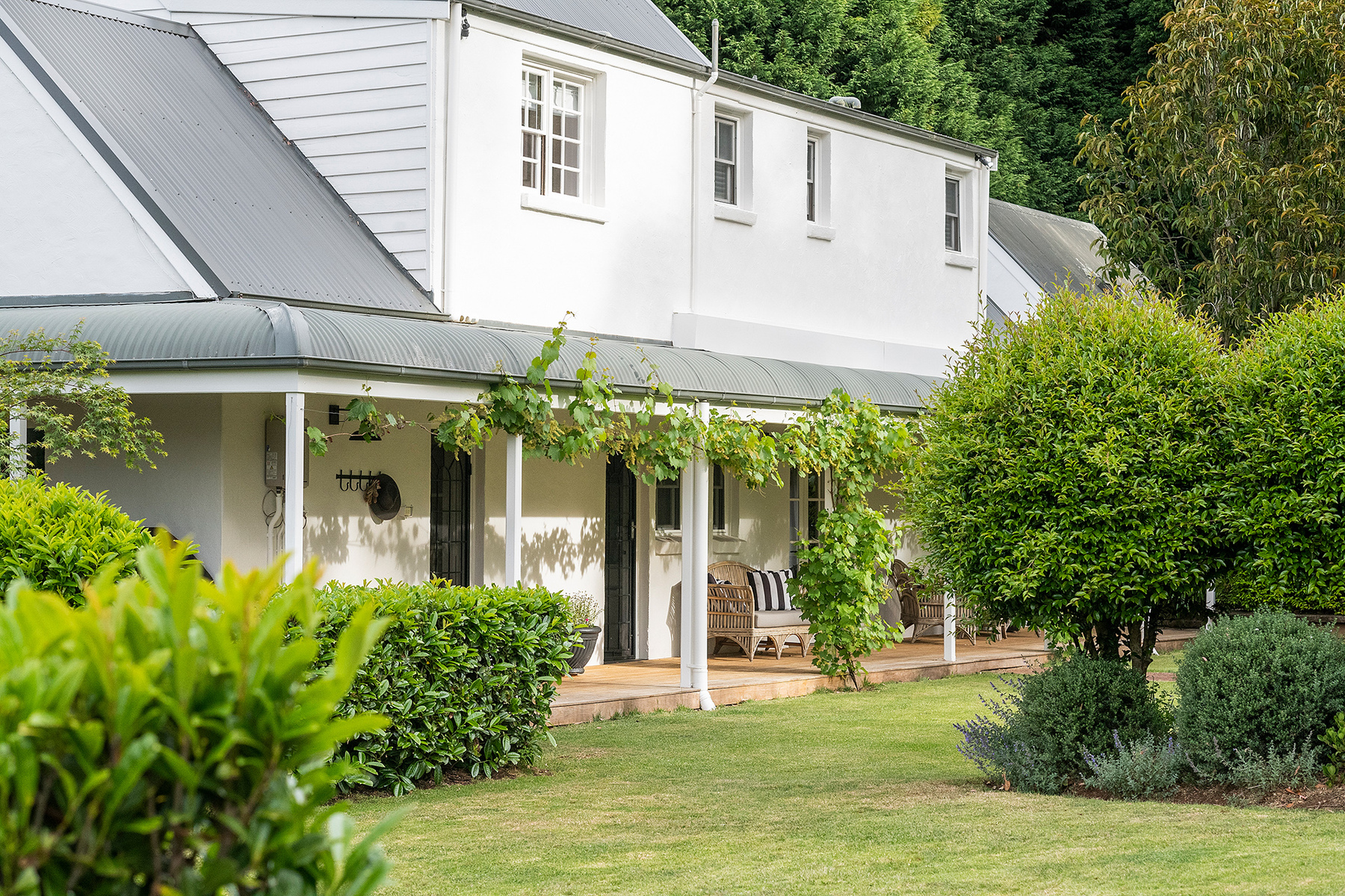  Fox Hill - 物件實景